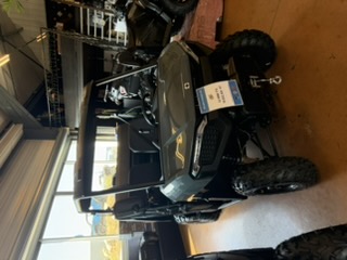 Polaris RANGER 500